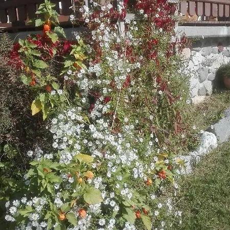 Schiessling Hof Feriegård Oberndorf in Tirol