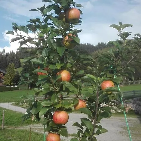 Feriegård Schiessling Hof *