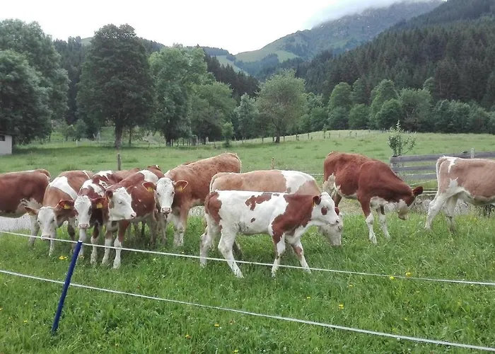 Schiessling Hof Lantgård *