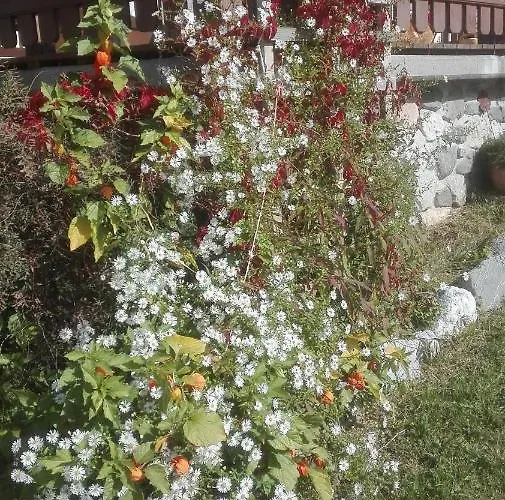 Schiessling Hof Lantgård Oberndorf in Tirol