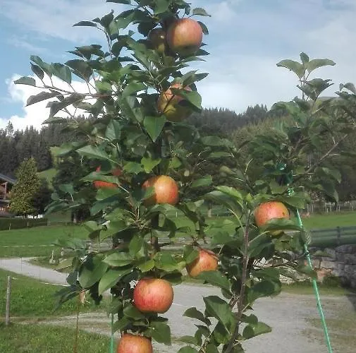 Lantgård Schiessling Hof *