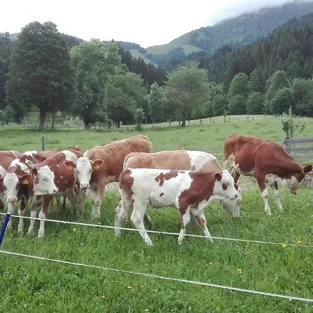 Schiessling Hof Çiftlik konaklama *