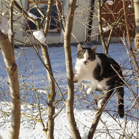 Çiftlik konaklama Schiessling Hof *